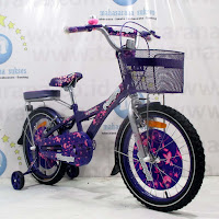 18 Sepeda Anak Family Glamour CTB