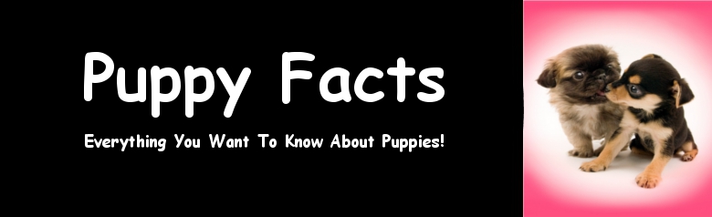Puppy Facts