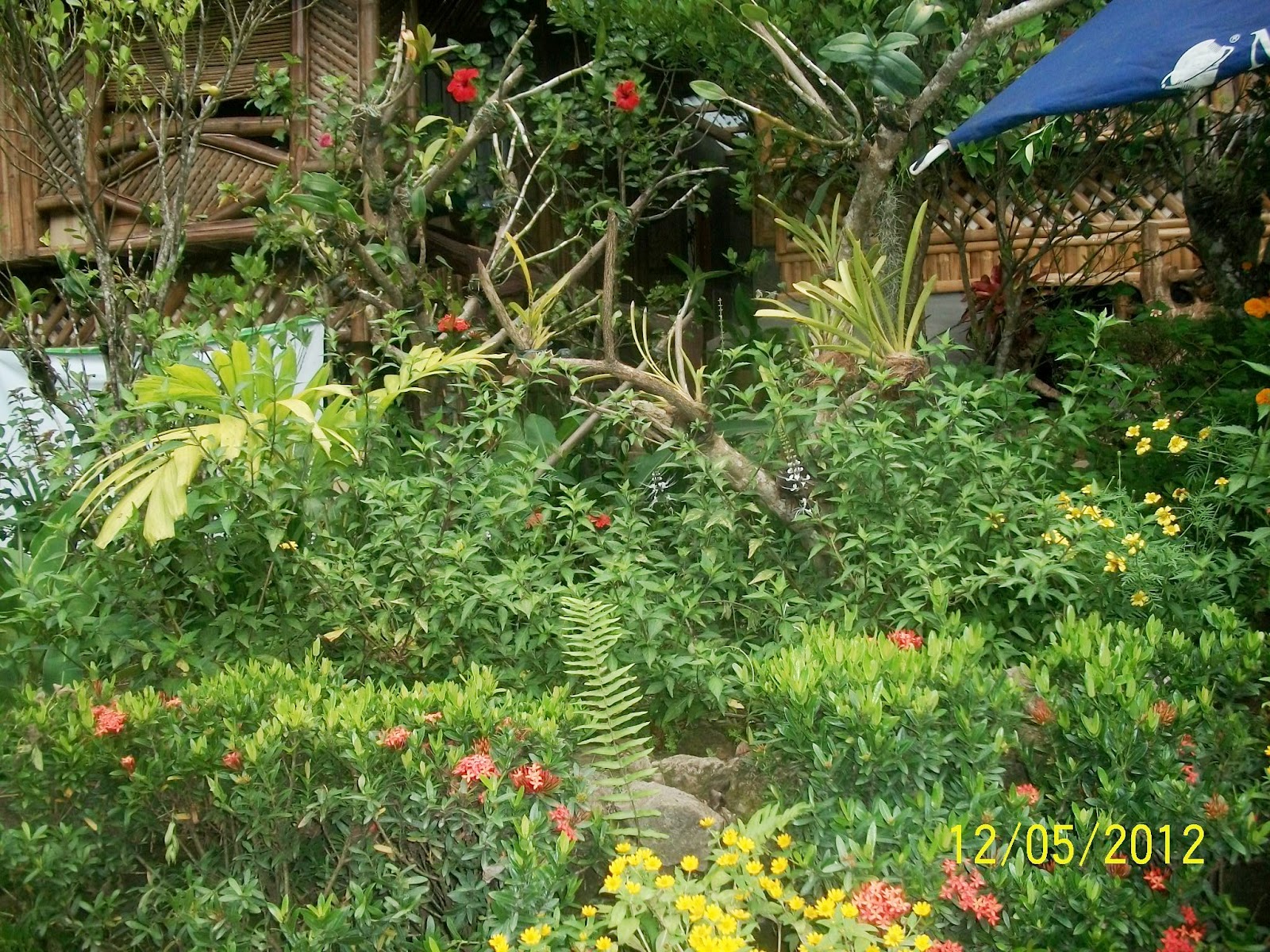 BCHS Class62: Flora & Fauna, Rizal Province