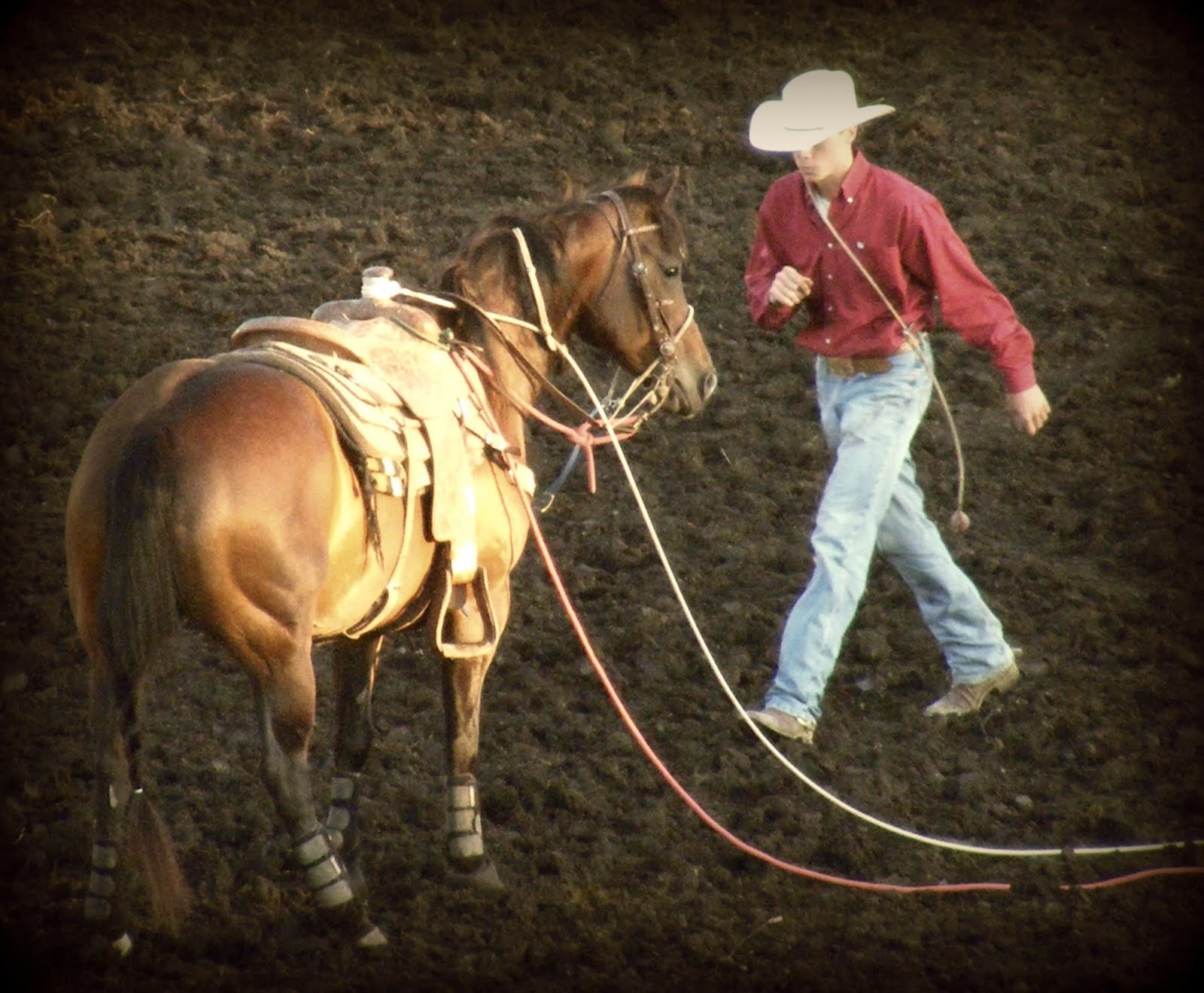 Melissa Lynn D Art: Rodeo!