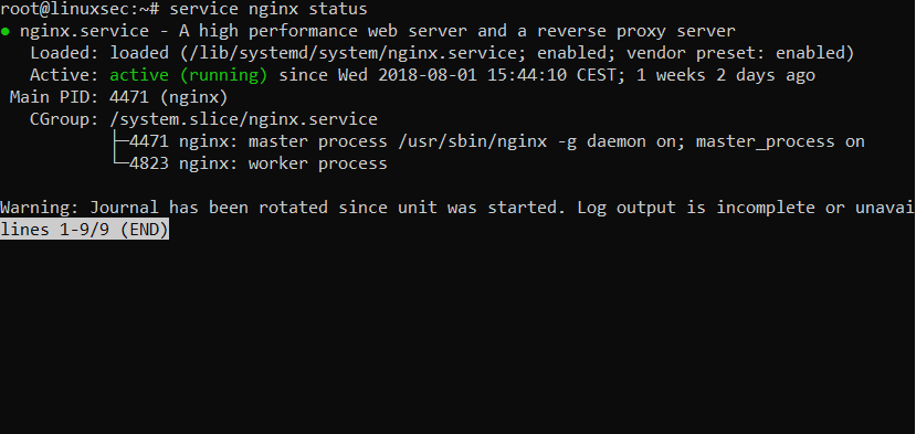 Nginx файл. Nginx с веб интерфейсом. Установка nginx. Nginx. Код nginx.