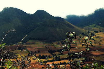 Turismo en Ecuador Volcán Pululahua Reserva Geobotánica