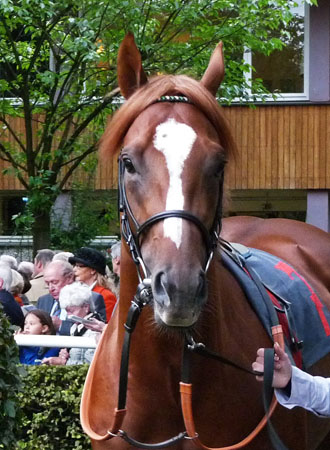 Niko Laus' Blechblog Girolamo gewinnt den JubiläumsPreis von Europa
