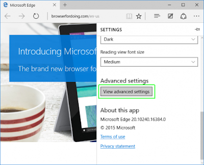 tampilan pengaturan pada Microsoft Edge di Windows 10