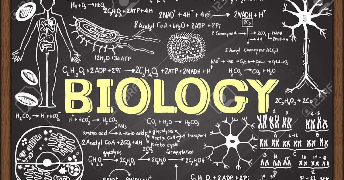 Genus identification of sub cultured forest biology essay image