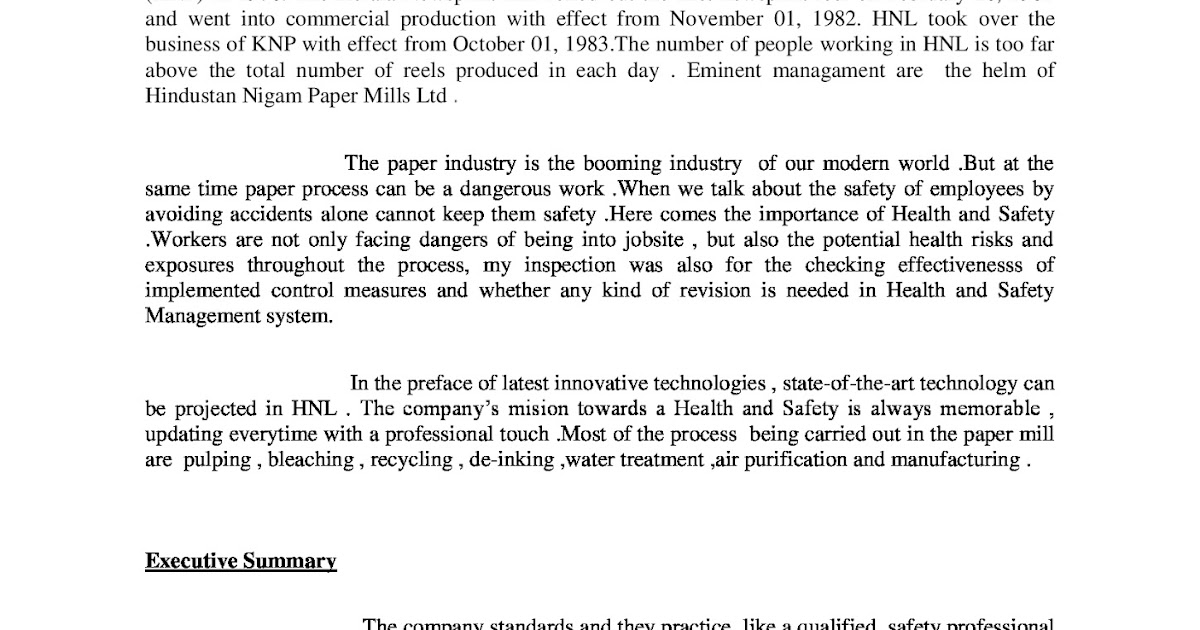 Safety Inspection Report Summary / Sample Home Inspection Report / What