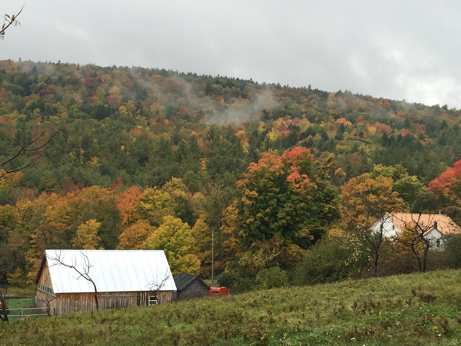 Cotton Hill Creamery