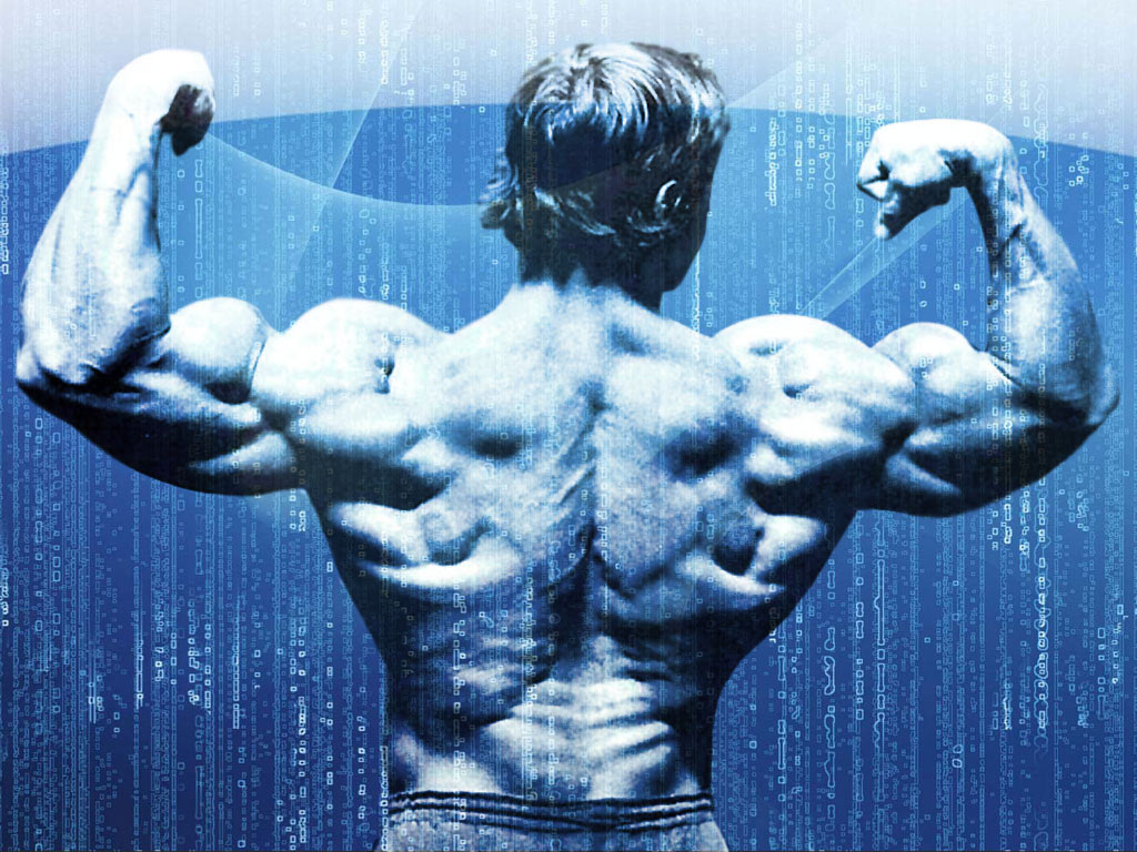 Arnold+Schwarzenegger+Bodybuilding+Wallpapers-7.jpg