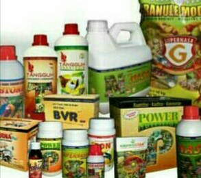 www.agenpupuksupernasa.com jual produk nasa di rokan hilir riau