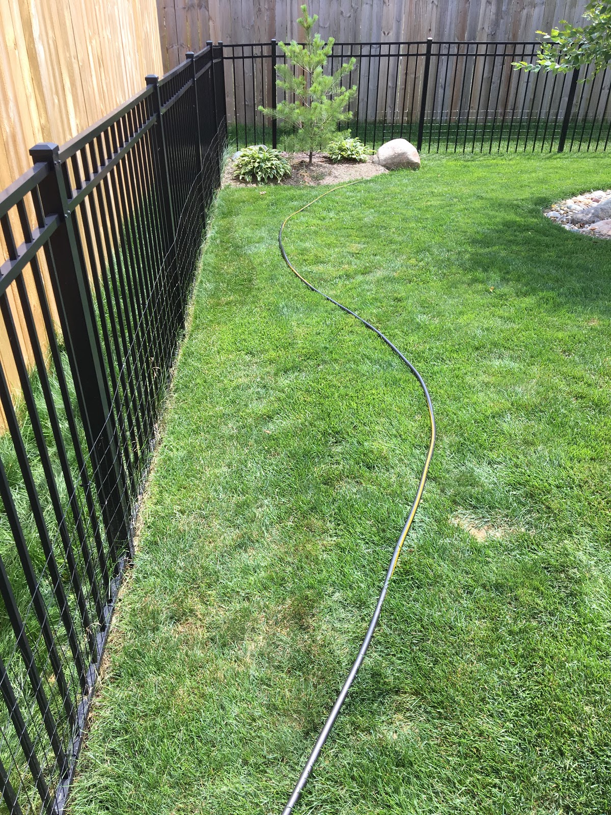 Backyard Neophyte Landscaping Blog