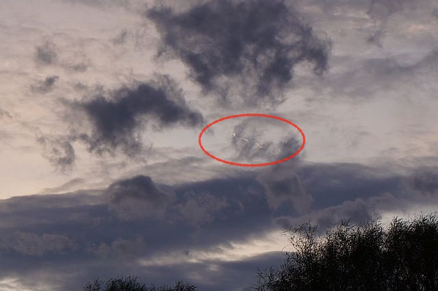 Serpent-like object appears in the sky over Crewe, UK  Serpent%2Bobject%2Bsky%2Buk%2B%25281%2529