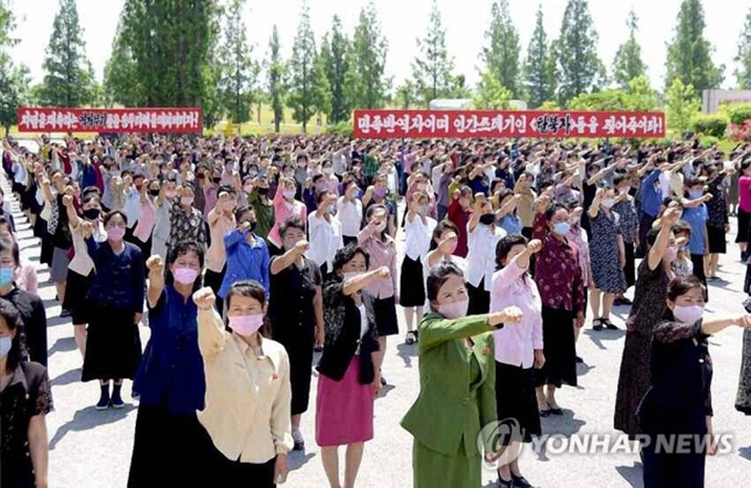 이미지에 대체텍스트 속성이 없습니다; 파일명은 PYH2020061000970004200_P4_20200610084814565.jpg 입니다.
