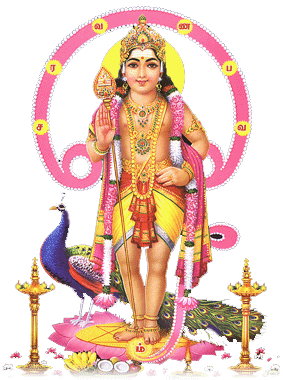 Lord Murugan Lord Subramanya Swamy HD wallpapers Images Pictures photos