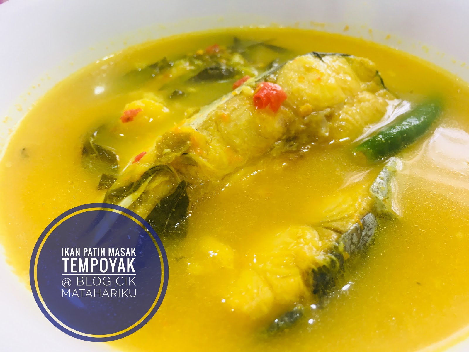 Resepi ikan patin tempoyak che nom