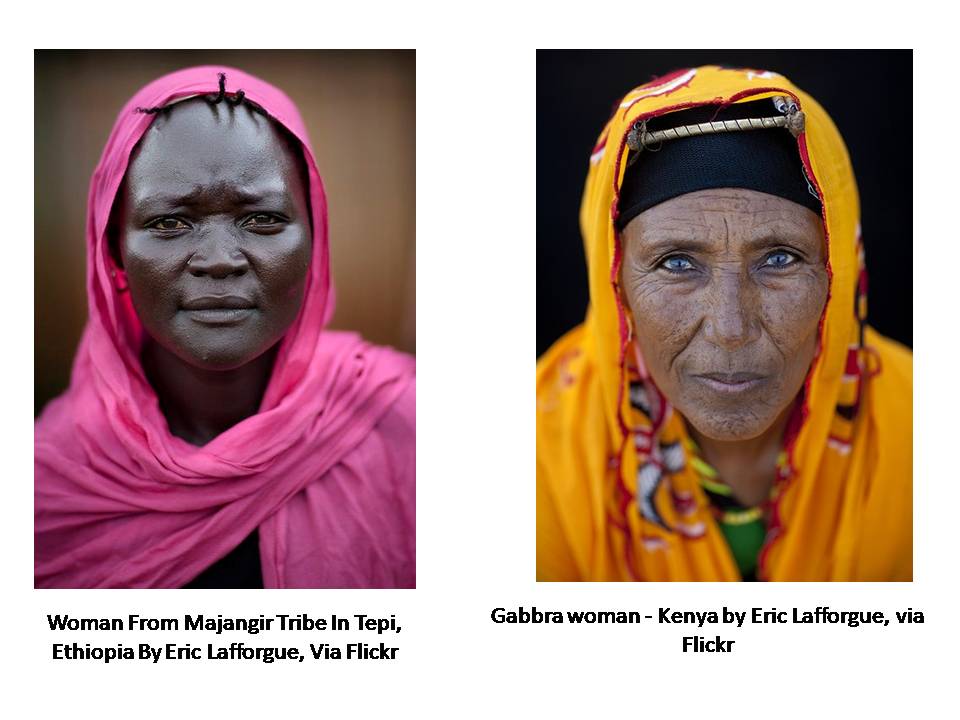 THE WORLD SAYS COVER YOUR HEAD