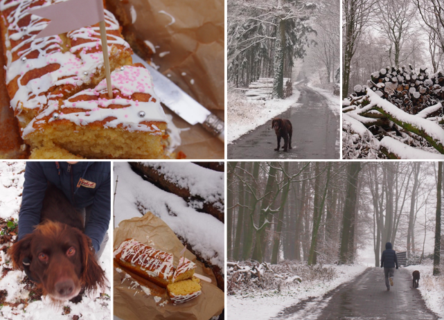 dieZuckerbäckerei: Schnee+Orangen-Kardamom-Kuchen