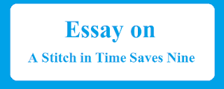 Essay on A Stitch in Time Saves Nine