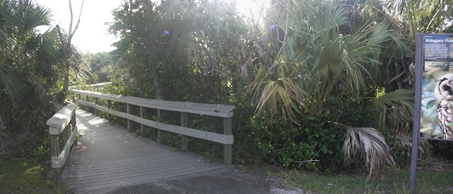 Mahogany Hammock Trail Everglades, Florida