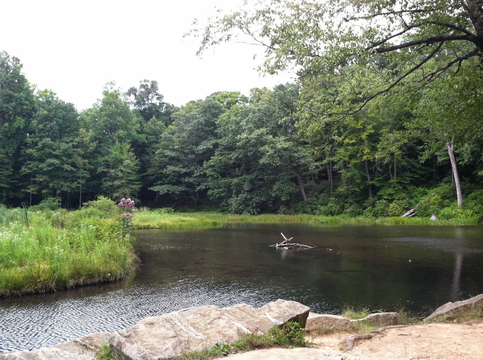 Snow and Jaggers Laurel Hill State Park