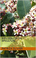 abeille sur skimia