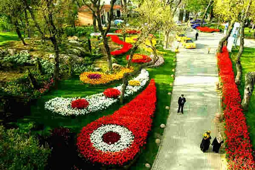Фестиваль тюльпанов в Стамбуле