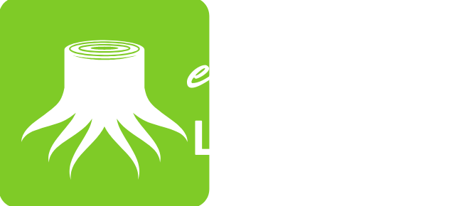 Essence of Learning