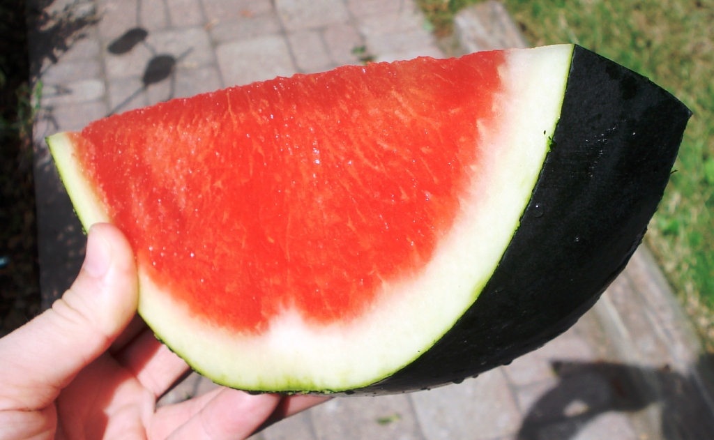 арбуз черный принс. арбуз черный принц арбуз. арбуз «черный принц». арбуз «черный принц». арбуз принц.