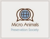 Weihrauch Gegen Mucken Pflanzen Gegen Mucken