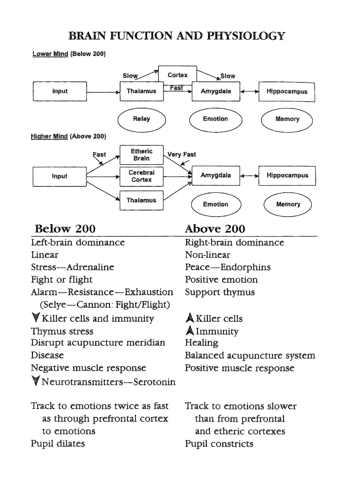 Brain Function and Physiology ~ AP Psychology