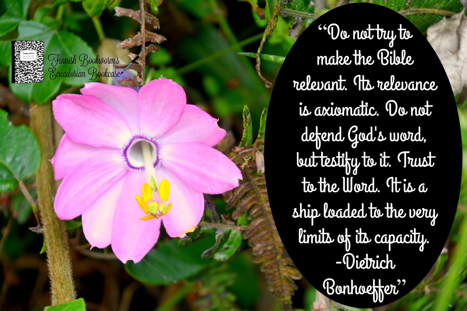 Bonhoeffer by Eric Metaxas Bonhoeffer by Eric Metaxas