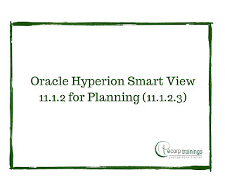 Oracle Hyperion Smart View 11.1.2 for Planning (11.1.2.3) training