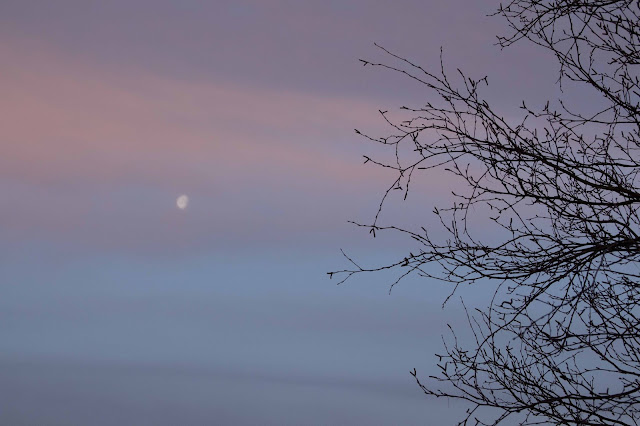 layered sky with moon