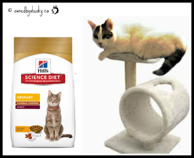 Introducing: Hill's® Science Diet® Urinary And Hairball Control Cat Food