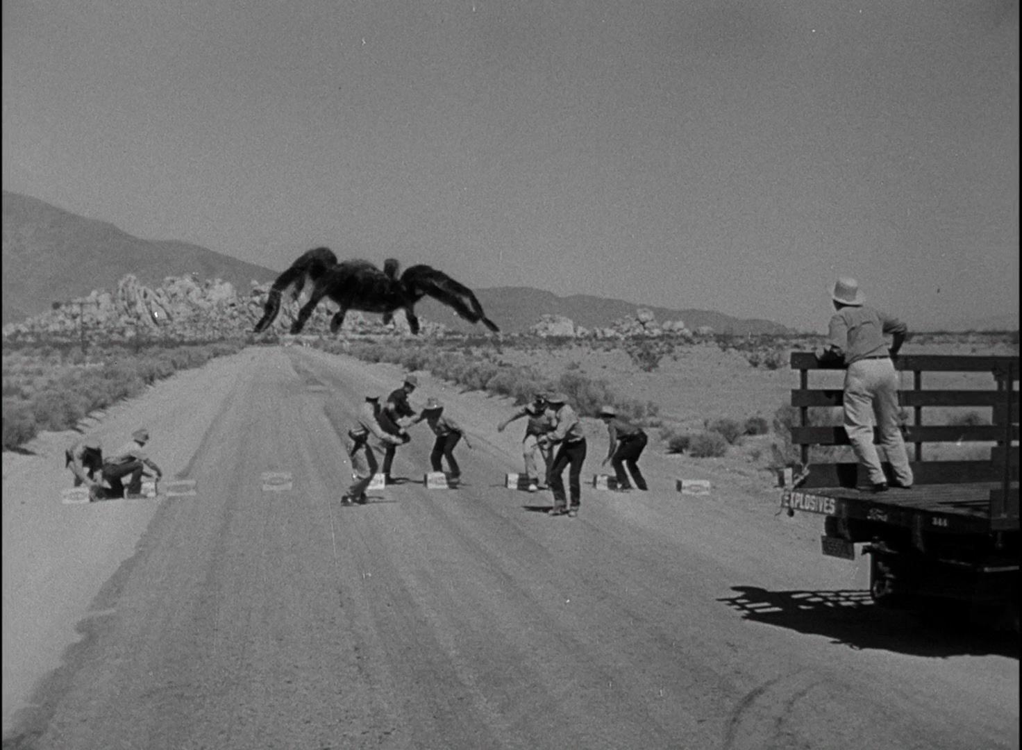 Tarantula (1955)|1080p|Español latino|Mega|