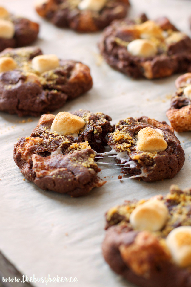 Double Chocolate Plum Cookies - Basilmomma