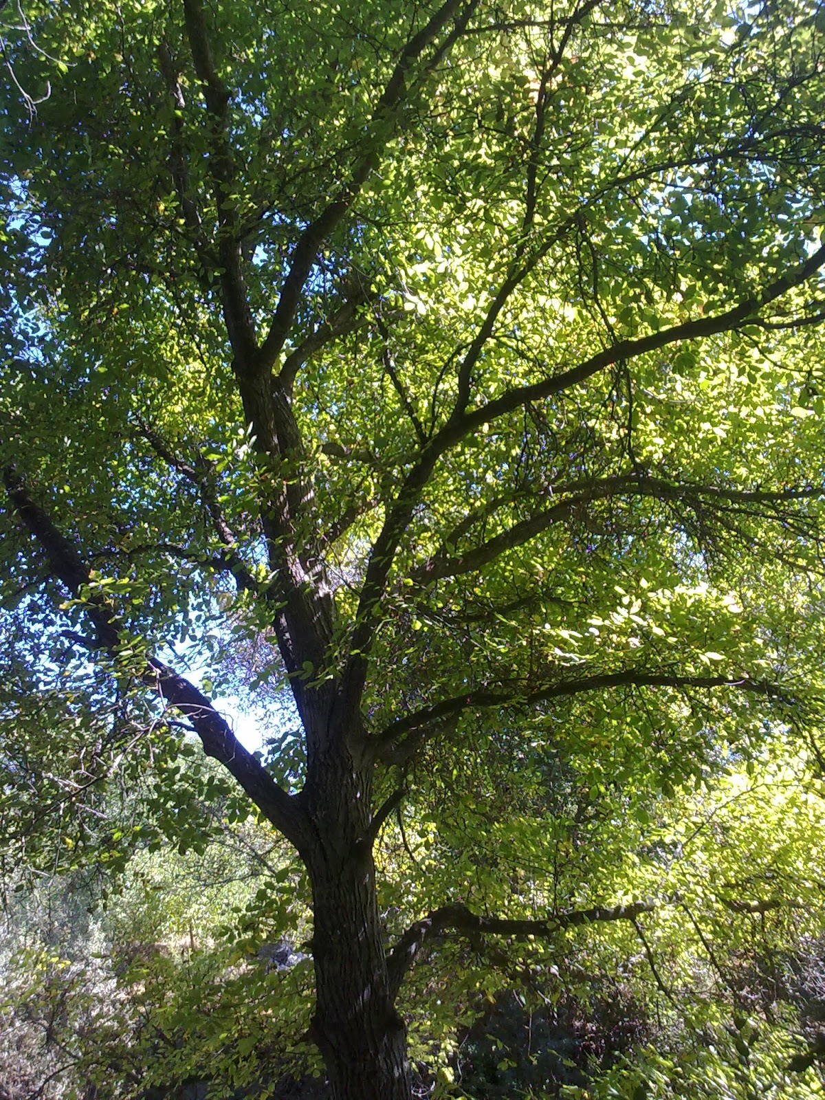 Güz Ruhum�da Yaz Yağmurları.. İZ�ler&hellip; ( 3145 )