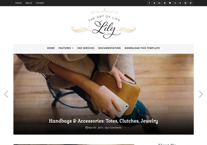 Lily FashionBlogger Template