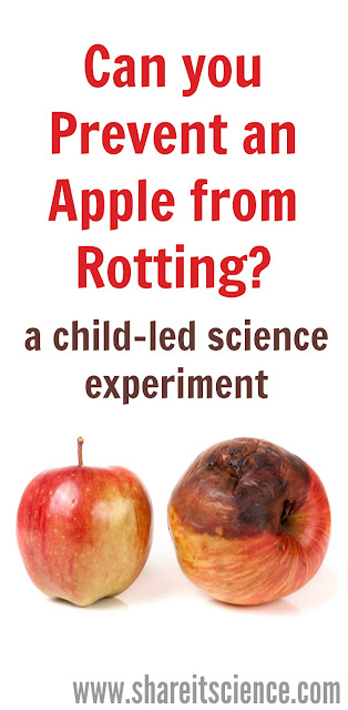Apple Decomposition Science Experiment