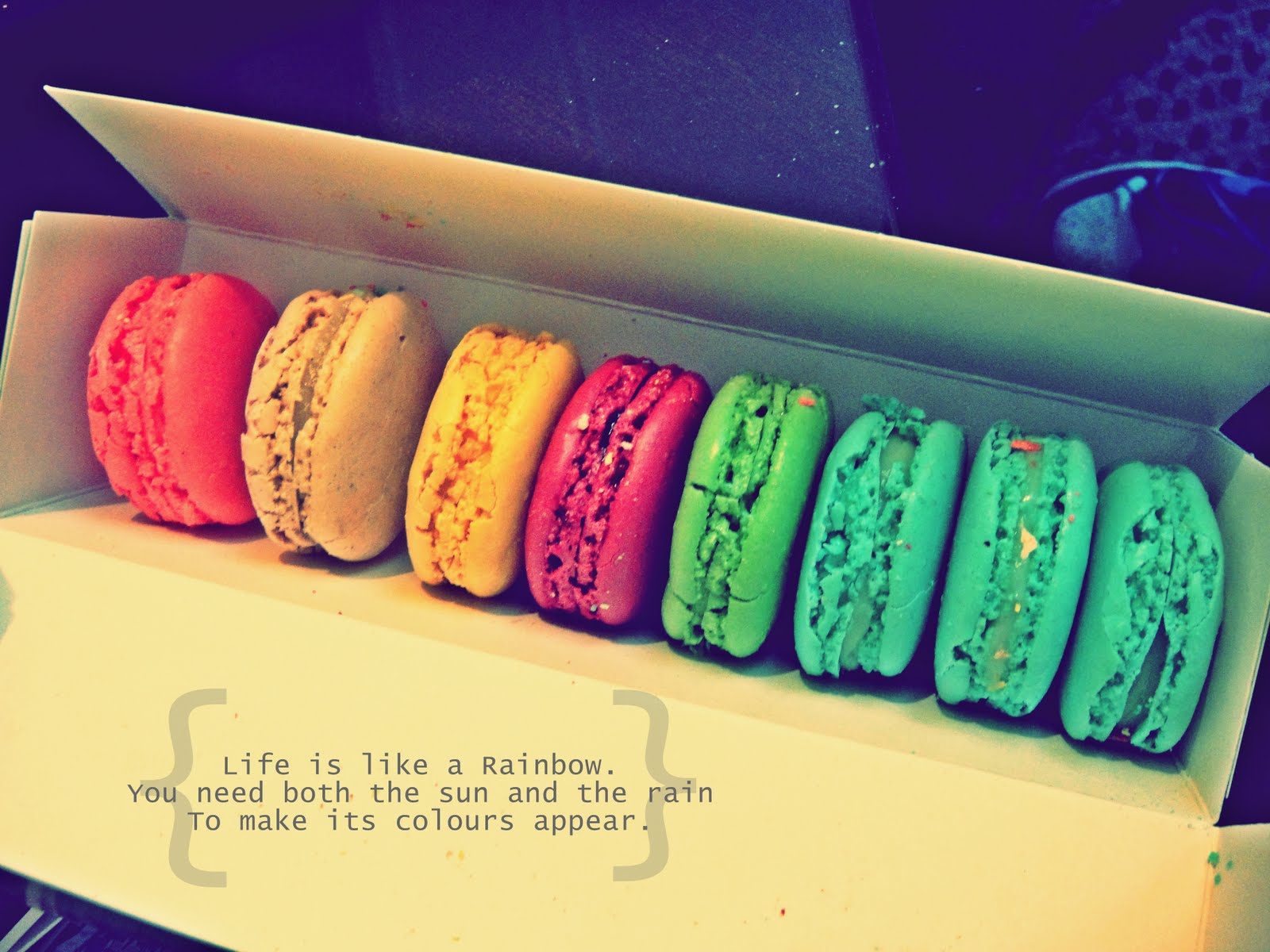 Life is Like a Rainbow