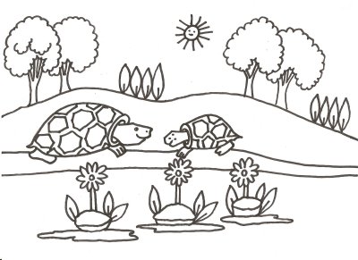 Tortugas Para Colorear Dibujos Para Colorear Y Pintar Gratis Fichas para colorear con numeros. tortugas para colorear dibujos para