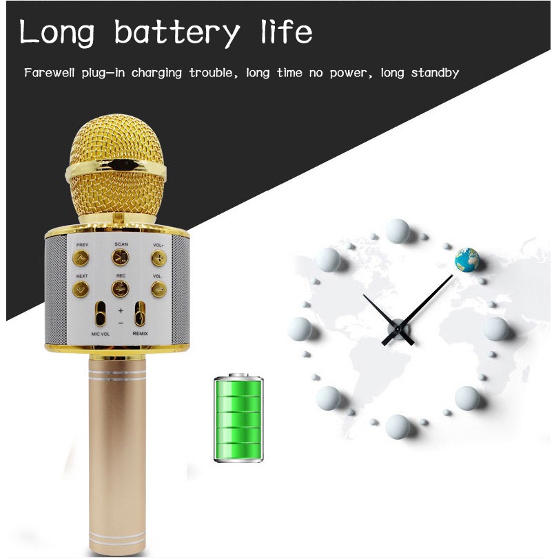 WS-858 Wireless Karaoke Microphone | Risa Online Shopping Mart