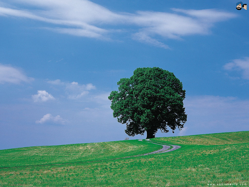 NATURE Wallpapers 2 | HD WALLPAPERS