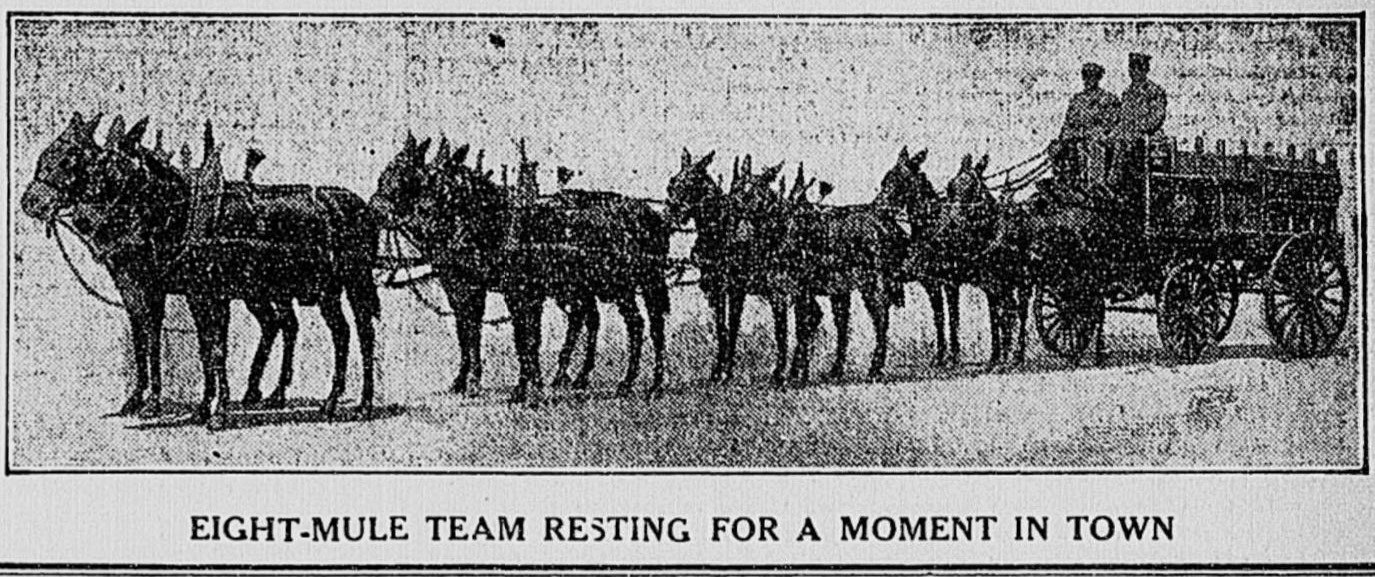 Budweiser Beer Wagon - The Times Dispatch (Richmond, VA), August 30, 1911, page 3. Fuente: Early Sports and Pop Culture History Blog, Peter Jensen Brown.