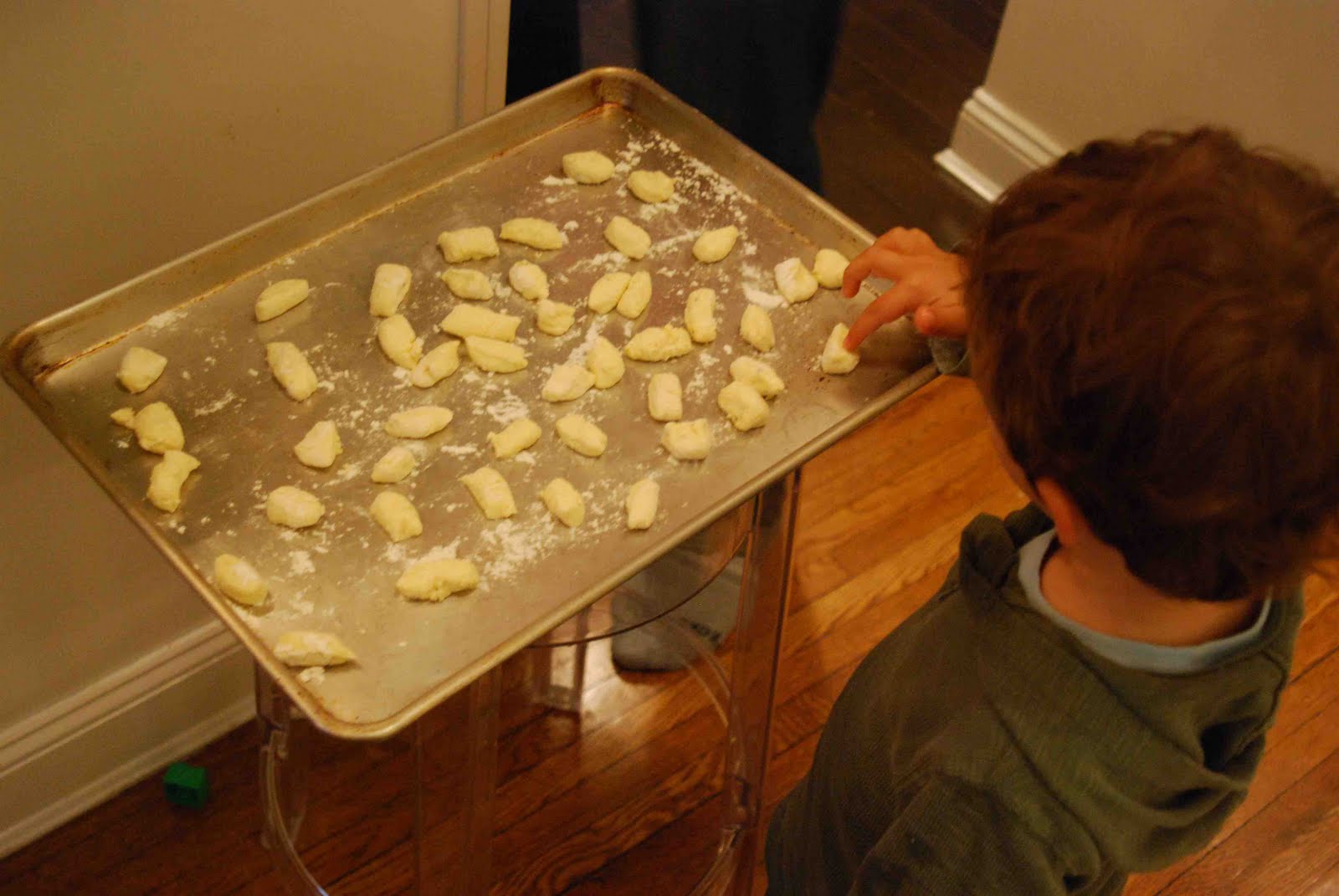 this little piglet Ricotta Gnocchi with Contessa Sauce
