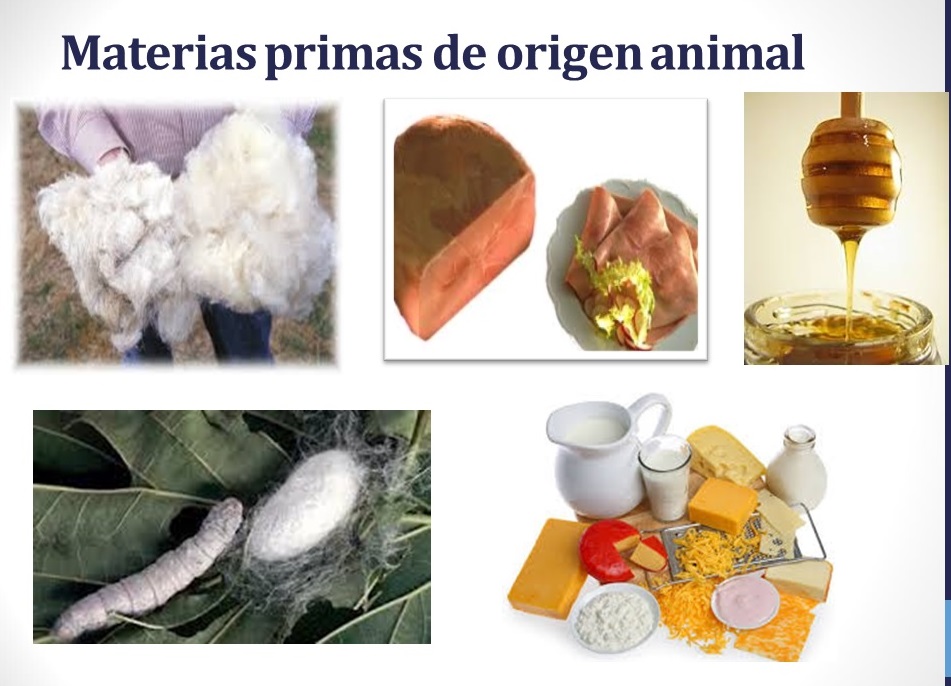 SOFIA PATIÑOMATERIAS PRIMAS 503 TIPOS DE MATERIA PRIMAS