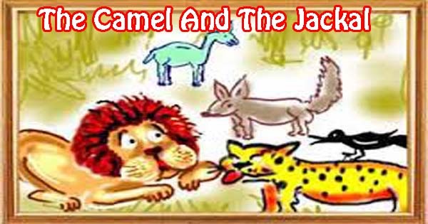 The camel and his friends essay 04 image