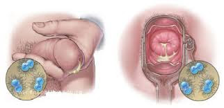 Penis Terasa Sakit Saat Tegang Dan Terdapat Bercak Nanah Penis Terasa Sakit Saat Tegang Dan Terdapat Bercak Nanah