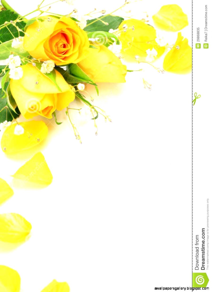 Yellow Rose And Haze Grass Royalty Free Stock Photo   Image 29868835