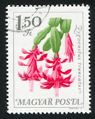 Stamp from Hungary