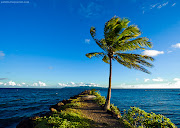 Fiji (beqa lagoon and beqa island from pacific harbour viti levu island fiji)